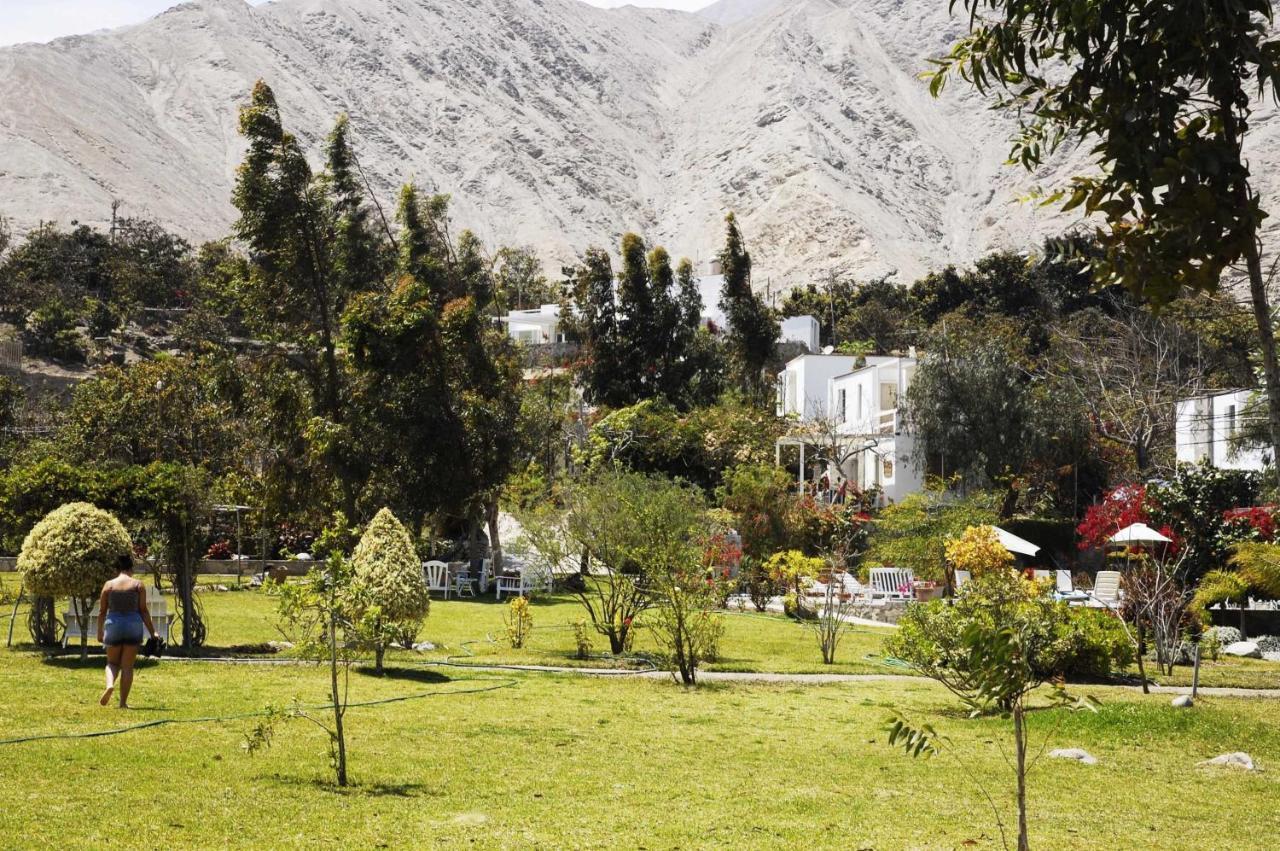 Hotel Los Palomos Lunahuaná Dış mekan fotoğraf